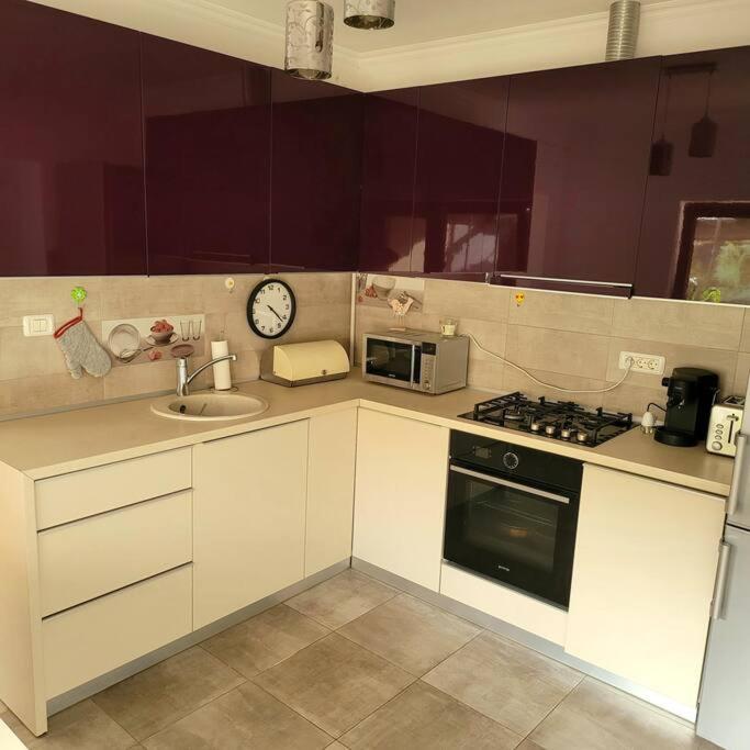 Apartament Individual La Casa Parter Apartment Timisoara Luaran gambar